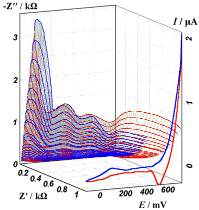 Polyaniline electrodeposition on Au